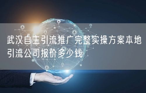 武汉自主引流推广完整实操方案本地引流公司报价多少钱
