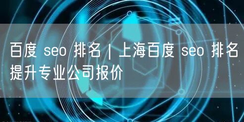 百度 seo 排名｜上海百度 seo 排名提升专业公司报价