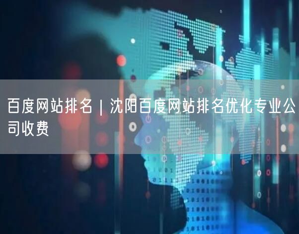 百度网站排名｜沈阳百度网站排名优化专业公司收费