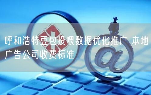 呼和浩特豆包投喂数据优化推广 本地广告公司收费标准