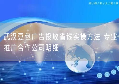 武汉豆包广告投放省钱实操方法 专业推广合作公司明细