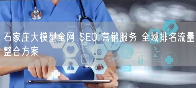 石家庄大模型全网 SEO 营销服务 全域排名流量整合方案