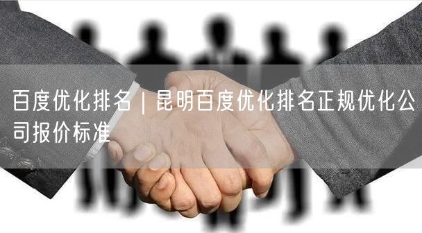 百度优化排名｜昆明百度优化排名正规优化公司报价标准