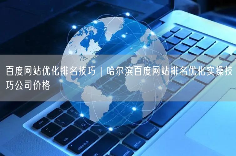 百度网站优化排名技巧｜哈尔滨百度网站排名优化实操技巧公司价格