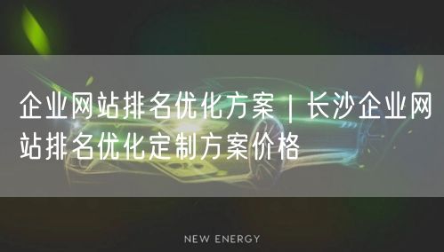 企业网站排名优化方案｜长沙企业网站排名优化定制方案价格
