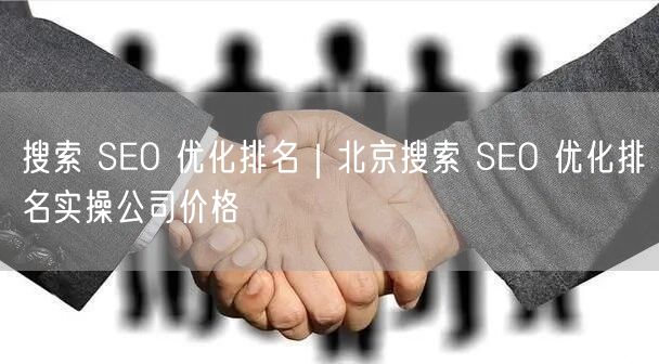 搜索 SEO 优化排名｜北京搜索 SEO 优化排名实操公司价格