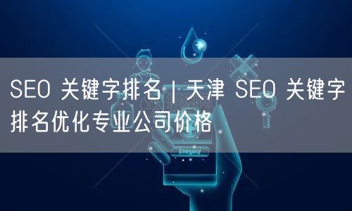 SEO 关键字排名｜天津 SEO 关键字排名优化专业公司价格
