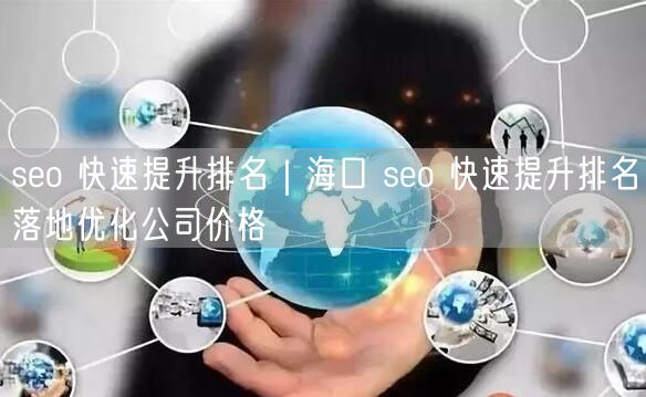 seo 快速提升排名｜海口 seo 快速提升排名落地优化公司价格