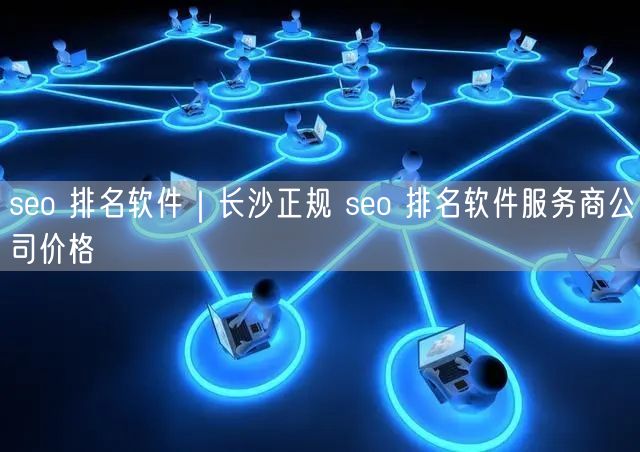 seo 排名软件｜长沙正规 seo 排名软件服务商公司价格