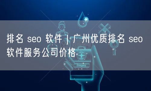 排名 seo 软件｜广州优质排名 seo 软件服务公司价格