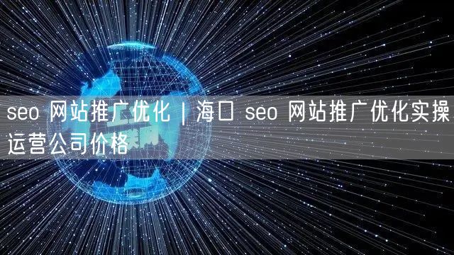 seo 网站推广优化｜海口 seo 网站推广优化实操运营公司价格