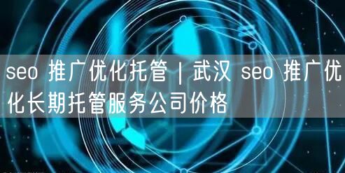 seo 推广优化托管｜武汉 seo 推广优化长期托管服务公司价格