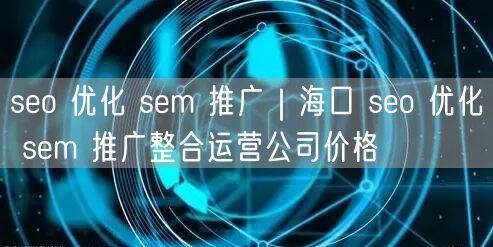 seo 优化 sem 推广｜海口 seo 优化 sem 推广整合运营公司价格