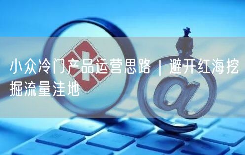 小众冷门产品运营思路｜避开红海挖掘流量洼地