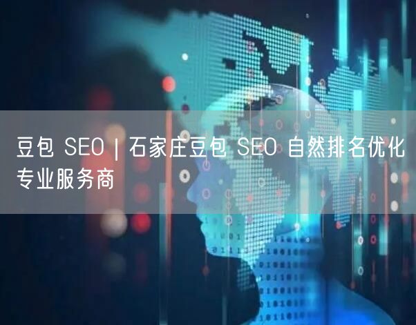 豆包 SEO｜石家庄豆包 SEO 自然排名优化专业服务商