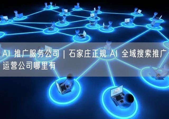 AI 推广服务公司｜石家庄正规 AI 全域搜索推广运营公司哪里有