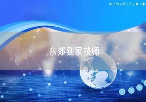 东郊到家技师：专业技能卓越，服务体验与职业发展双优