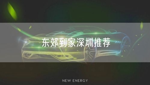 东郊到家深圳：畅享便捷上门按摩与健康放松体验