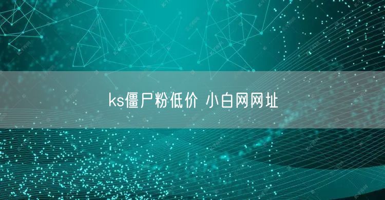 ks僵尸粉低价 小白网网址