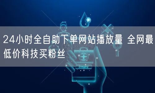 24小时全自助下单网站播放量 全网最低价科技买粉丝