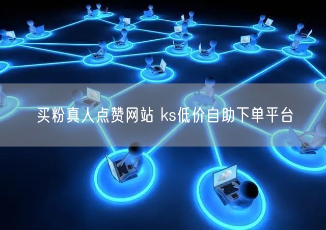 买粉真人点赞网站 ks低价自助下单平台