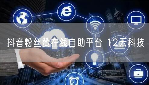 抖音粉丝赞在线自助平台 12云科技