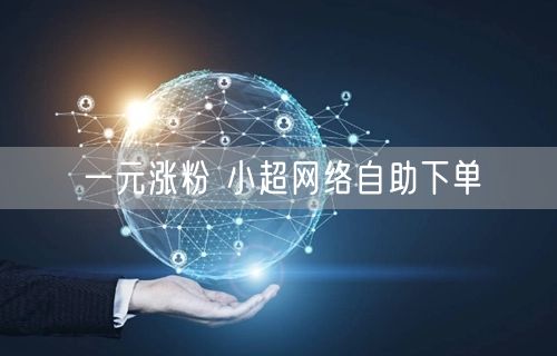 一元涨粉 小超网络自助下单