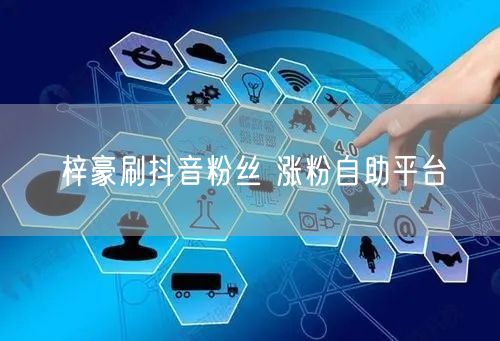 梓豪刷抖音粉丝 涨粉自助平台
